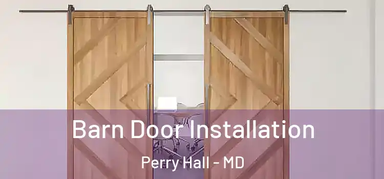  Barn Door Installation Perry Hall - MD