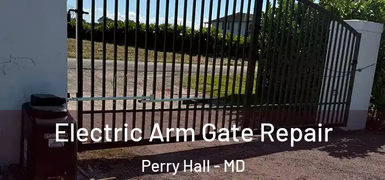  Electric Arm Gate Repair Perry Hall - MD