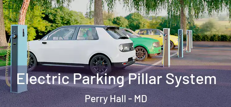  Electric Parking Pillar System Perry Hall - MD