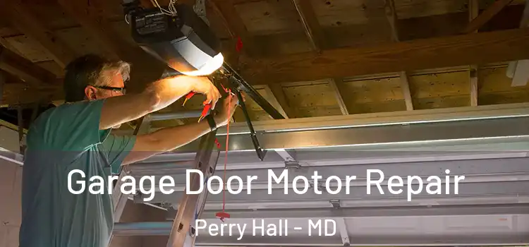  Garage Door Motor Repair Perry Hall - MD