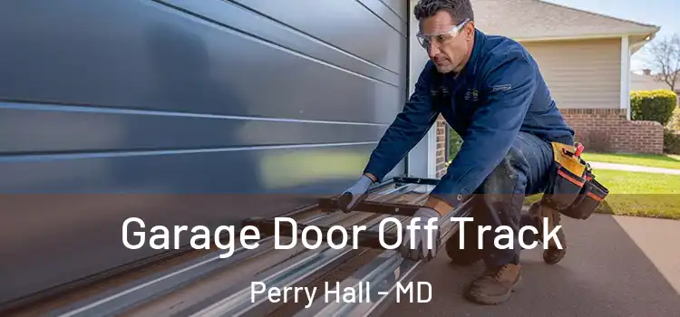  Garage Door Off Track Perry Hall - MD