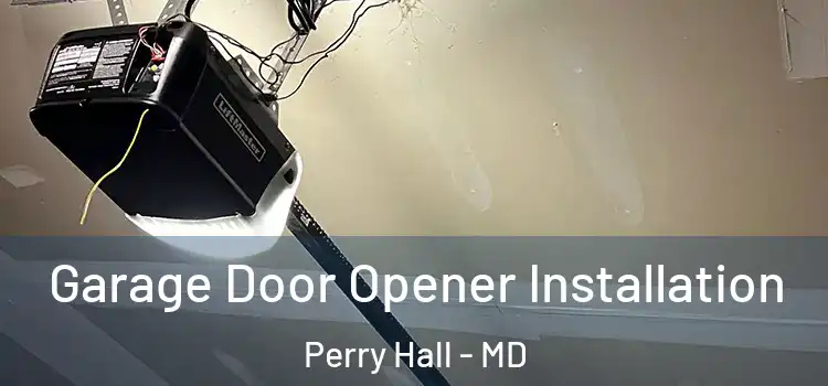  Garage Door Opener Installation Perry Hall - MD