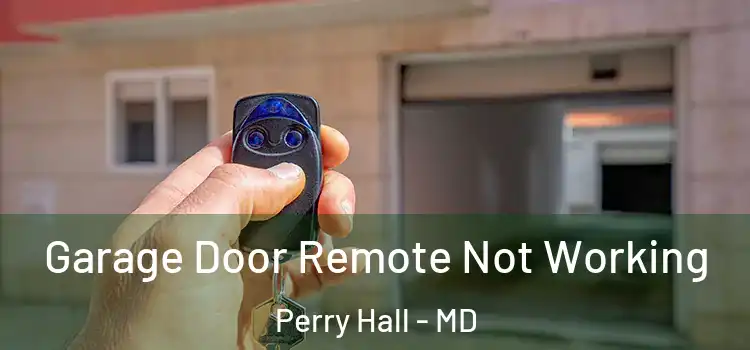  Garage Door Remote Not Working Perry Hall - MD