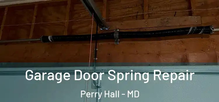  Garage Door Spring Repair Perry Hall - MD