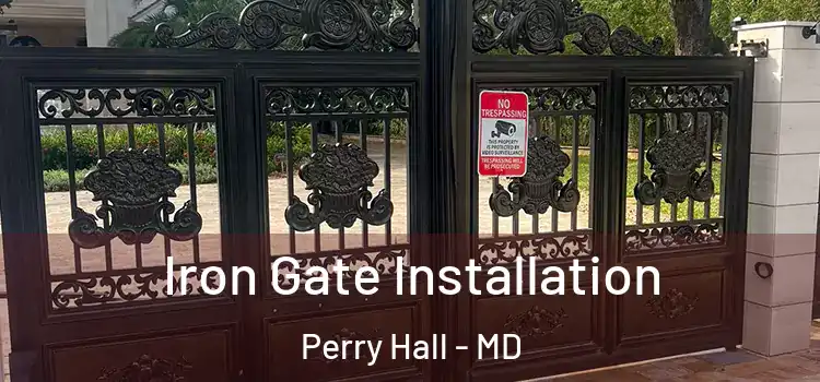  Iron Gate Installation Perry Hall - MD