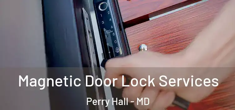  Magnetic Door Lock Services Perry Hall - MD