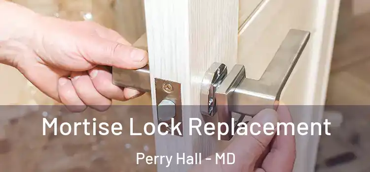  Mortise Lock Replacement Perry Hall - MD