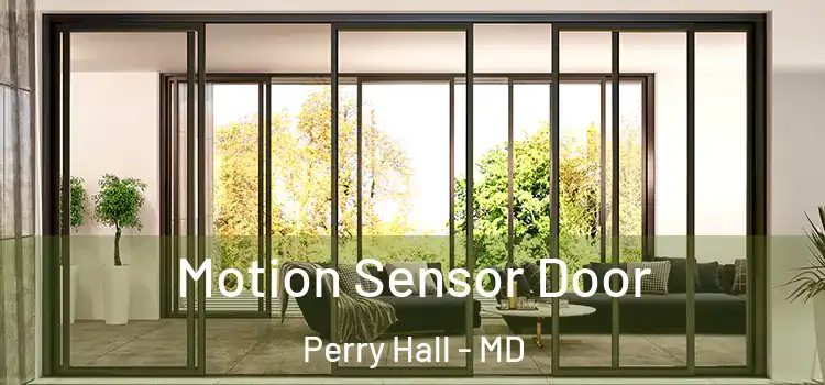 Motion Sensor Door Perry Hall - MD